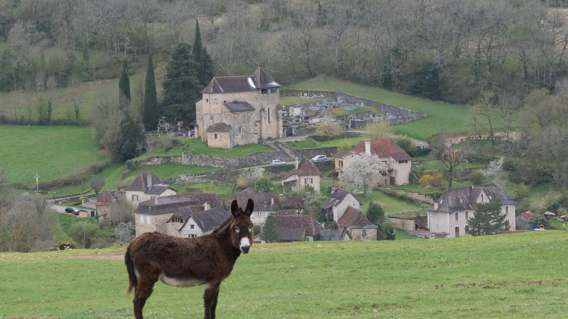 Vakantiehuis Gite De La Source Du Touron Fons